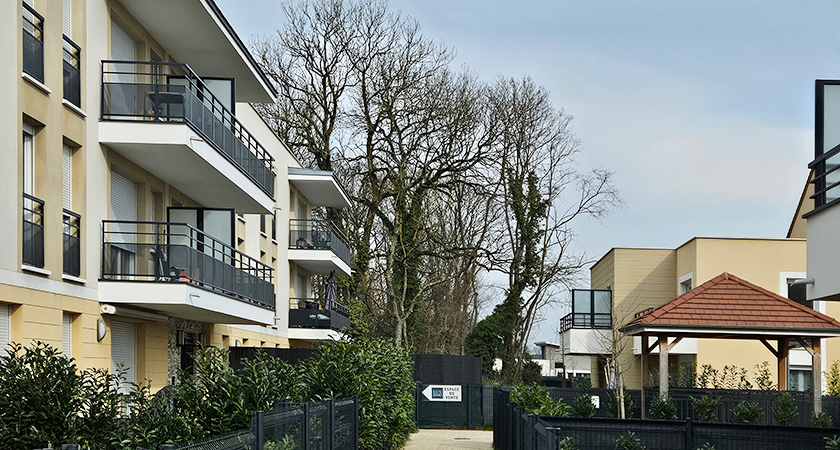 chemin-vert-1.jpg